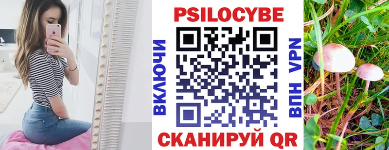 это телеграм  Макушино  Галлюциногенные грибы Psilocybe 
