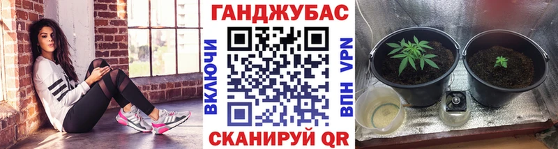 Конопля гибрид мега зеркало darknet телеграм Макушино
